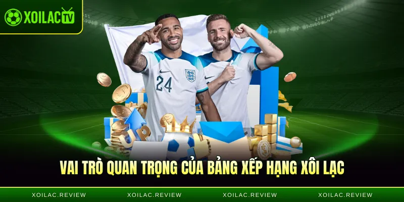 Vai trò quan trọng của bảng xếp hạng Xôi lạc